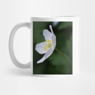 Wood Anenome Mug